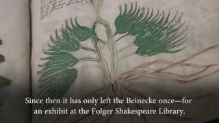 What We Know About the Voynich Manuscript [upl. by Niko255]