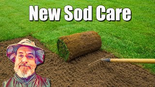 New Sod Lawn Care [upl. by Goldin]