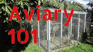 Outdoor Aviary 101  Tips on Building a Large Aviary Outdoors [upl. by Ahsikit426]