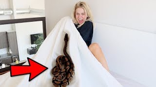 IVE NEVER SEEN ALYSSA THIS SCARED SNAKE PRANK ON GIRLFRIEND [upl. by Yelik]