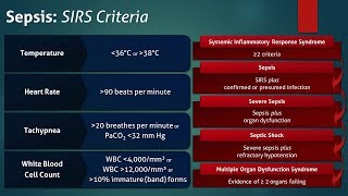 Sepsis Systemic Inflammatory Response Syndrome SIRS Criteria [upl. by Sasnak575]