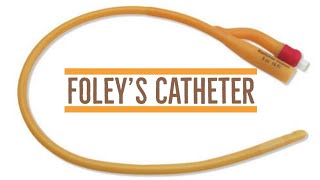 Foleys catheter  Parts  Sweta Yadav [upl. by Helbon275]