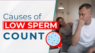 Causes of Low Sperm Count  Oligospermia Natural Treatment  Dr Health [upl. by Cherilynn482]