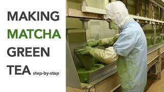 Making Matcha step by step  Spring Harvest [upl. by Kelleher304]