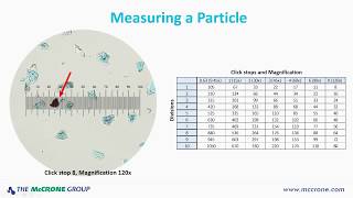 How to Calibrate Your Microscope [upl. by Ydac]