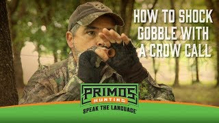 How to Make a Turkey Gobble with a Crow Call [upl. by Ajroj]