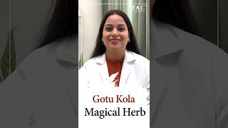 Gotu Kola Benefits  Skin  Health [upl. by Niven]