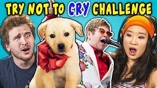 Adults React To Try Not To Cry Challenge [upl. by Baler]