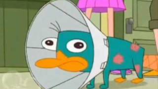 Perry The Platypus  The Platypus Song [upl. by Yancey]