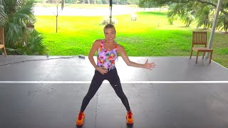 Tracy Anderson Beginner sTArt Class [upl. by Yrffej90]