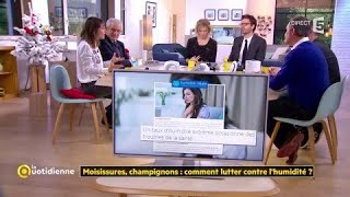 Moisissures champignons  comment lutter contre lhumidité [upl. by Volpe]