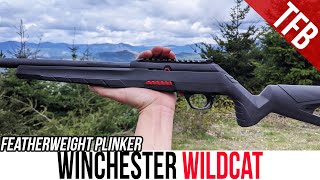 NEW Winchester Wildcat Review Featherweight Plinker [upl. by Ellehc]