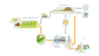 Sugar cane  A source of renewable energy [upl. by Kamaria]