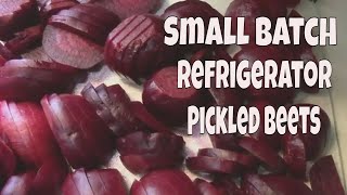 Small Batch Refrigerator Pickled Beets Recipe Makes One Quart [upl. by Einnaej695]