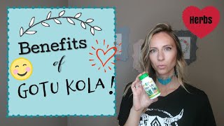 HERBS Benefits of Gotu Kola Circulation Insomnia amp More [upl. by Learsi]