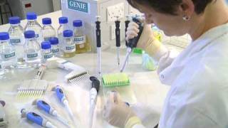 Using a Micropipette  University of Leicester [upl. by Annaerdna]