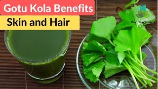 Gotu Kola Benefits for Skin and Hair  Gotu Kola Health Benefits  Healthyfoods4life [upl. by Nirrad]