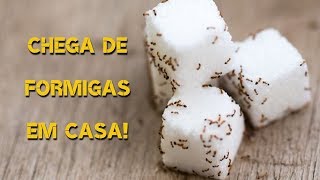 2 dicas fáceis para eliminar formigas de casa [upl. by Katti315]