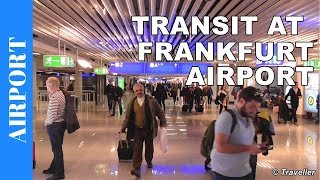 TRANSIT WALK AT FRANKFURT Airport FRA Terminal 1  Connection Flight Transfer Arriving amp Departing [upl. by Anitroc665]