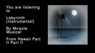 08 Labyrinth Instrumental  Hawaii Part II Part II [upl. by Elazaro]