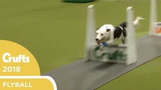 Flyball  YKC Final  Crufts 2018 [upl. by Nnaylloh603]