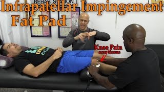 Infrapatellar Fat Pad Knee Pain Hoffas Syndrome Clinical Treatment  Dr Mandell [upl. by Odama]