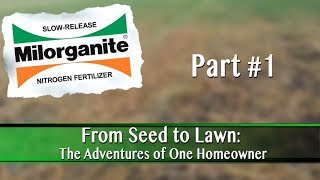 How to Start a Lawn From Seed Part 1 [upl. by Kelton394]