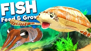 GIANT SEA TURTLE VS NEW CUTTLEFISH  Feed And Grow Fish SURVIVAL Gameplay [upl. by Feilak]