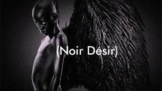 Youssoupha  Noir Désir Lyrics [upl. by Granniah]