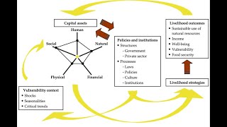 Sustainable Livelihood Framework [upl. by Naeroled]