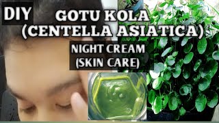 DIY GOTU KOLA CENTELLA ASIATICA NIGHT CREAM SKIN CARE  DIY MOISTURIZER PLANT BASED  NATURER [upl. by Walli]