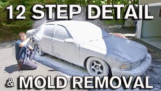 12 Step Detail Mold Removal and PlastiDip Repair for Used Car Sale Impala SS [upl. by Eenet]