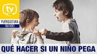 ¿Qué hacer si un niño pega Agresividad infantil [upl. by Erund]